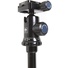 Sirui A1005 Aluminium Tripod with Y-10 Ball Head