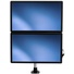 StarTech ARMDUAL30 Desktop Dual-Monitor Mount