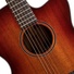 Cort Core-OC Blackwood Acoustic-Electric Guitar with Soft-Side Bag (All Solid Blackwood)