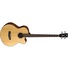 Cort AB850F Acoustic Bass Guitar With Bag (Natural)