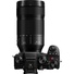 Panasonic Lumix S 70-300mm f/4.5-5.6 MACRO O.I.S. Lens