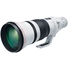 Canon EF 600mm f/4L IS III USM