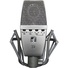 sE Electronics T2 Large-Diaphragm Condenser Microphone with Titanium Capsule