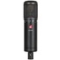 sE Electronics sE2200 Large-Diaphragm Cardioid Condenser Microphone