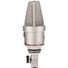 Neumann TLM 170 R Multi-Pattern Large-Diaphragm Condenser Microphone (Nickel)