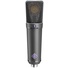 Neumann U 89 i MT Large-Diaphragm Multipattern Condenser Microphone (Black)