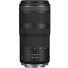 Canon RF 100-400 F5.6-8 IS USM Lens