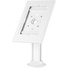 Brateck Anti-Theft Countertop Tablet Kiosk Stand With Bolt Down
