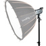 SmallRig RC120D Point-Source Daylight-Balanced Video Light