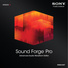 MAGIX Entertainment Sound Forge Pro 11 (Download)