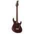 Cort G300 Pro Electric Guitar with Guitar Bag (Vivid Burgundy)