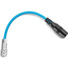 Kondor Blue 2.5mm DC Barrel Female to 2-Pin Male Power Cable for BMPCC 6K & 4K (Blue, 15.2cm)