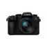 Panasonic Lumix DC-G90 Mirrorless Digital Camera with 14-140mm Lens
