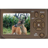 Browning Recon Force Elite HP4 Trail Camera