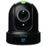 BirdDog Eyes P110 1080p Full NDI PTZ Camera (Black)