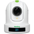 BirdDog Eyes P110 1080p Full NDI PTZ Camera (White)