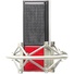 Avantone Pro CR-14 Dual Motor Ribbon Microphone with Shock Mount and Wooden Case