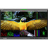 Lilliput Q31 31.5" 12G-SDI/HDMI Broadcast Studio Monitor