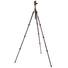 3 Legged Thing Punks Billy 2.0 Carbon Fibre Tripod with AirHed Neo 2.0 Ball Head (Black)