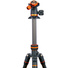 3 Legged Thing Punks Billy 2.0 Carbon Fibre Tripod with AirHed Neo 2.0 Ball Head (Black)