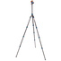 3 Legged Thing Punks Billy 2.0 Carbon Fibre Tripod with AirHed Neo 2.0 Ball Head (Blue)