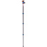 3 Legged Thing Punks Billy 2.0 Carbon Fibre Tripod with AirHed Neo 2.0 Ball Head (Blue)