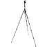 3 Legged Thing Punks Brian 2.0 Carbon Fibre Tripod with AirHed Neo 2.0 Ball Head (Darkness)