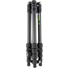 3 Legged Thing Punks Brian 2.0 Carbon Fibre Tripod with AirHed Neo 2.0 Ball Head (Darkness)