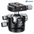 Leofoto LH-55LR+NP-60 Low Profile Ball Head with QR Clamp