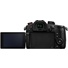 Panasonic Lumix GH5 II Mirrorless Camera with Lumix G 14-140mm f/3.5-5.6II Lens