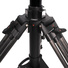 Ikan Professional 19" High-Bright Teleprompter with Pedestal Travel Kit (HDMI)