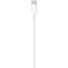 Apple USB-C to Lightning Cable (1m)
