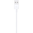 Apple Lightning to USB 2.0 Cable (0.5m)