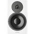 Dynaudio Acoustics LYD 8 Nearfield 8" Speaker Monitor (Single, White)
