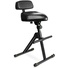 Gravity GFMSEAT1BR Height Adjustable Stool with Foot and Backrest