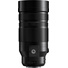 Panasonic Leica DG Vario-Elmar 100-400mm f/4-6.3 II ASPH. POWER O.I.S. Lens