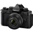 Nikon Zf Mirrorless Camera with 40mm Lens (Black)