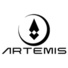 Artemis Custom Foam Gasket