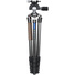 Leofoto LP-284C Poseidon-Series Waterproof Carbon Fibre Tripod with LH-30 Ball Head