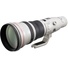Canon EF 800mm f5.6L USM IS Telephoto Lens