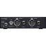 Black Lion Audio Auteur mkIII 2-Channel Mic Preamp and DI