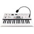 Korg KingKORG NEO Virtual Analog Synthesizer