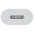 Apple USB-C to Lightning Adapter