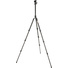 3 Legged Thing Punks Patti 2.0 Magnesium Travel Tripod with AirHed Mini Ball Head (Darkness)