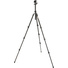3 Legged Thing Punks Patti 2.0 Magnesium Travel Tripod with AirHed Mini Ball Head (Darkness)