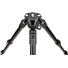 3 Legged Thing Punks Patti 2.0 Magnesium Travel Tripod with AirHed Mini Ball Head (Darkness)
