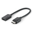 Alogic Elements DisplayPort to HDMI Adapter (20cm)
