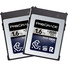 ProGrade Digital 1.6TB CFexpress 4.0 Type B Iridium Memory Card (2-Pack)