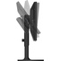 EIZO ColorEdge CS2400S 24.1" Monitor
