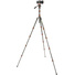3 Legged Thing Punks Brian 2.0 Video Tripod System (Lava)